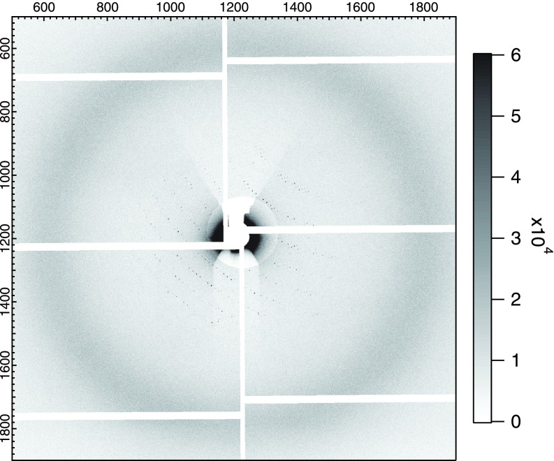 FIG. 7.