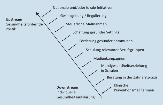 graphic file with name 103_2021_3349_Fig3_HTML.jpg