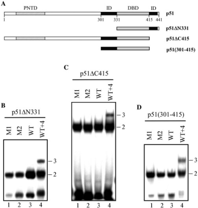 Figure 2.