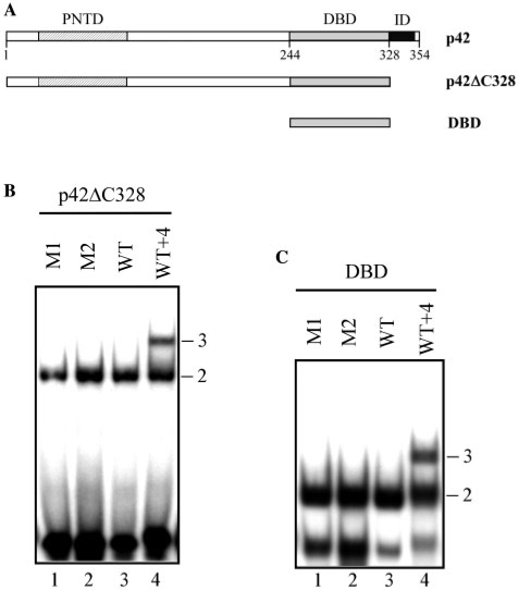 Figure 3.