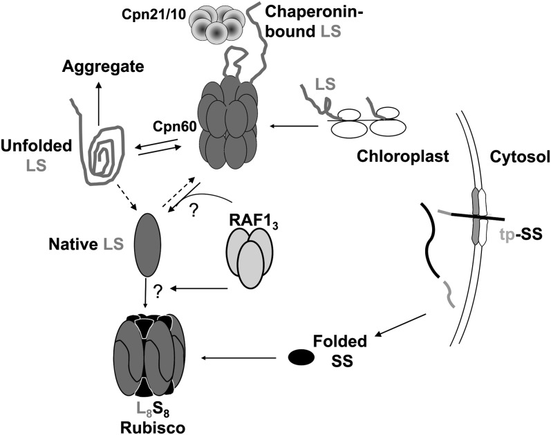 Figure 7.