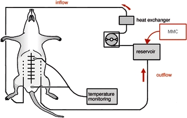 FIG. 1.