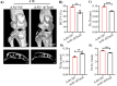 Figure 4—figure supplement 2.