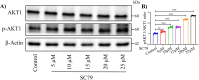 Figure 6—figure supplement 1.