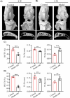 Figure 3—figure supplement 2.