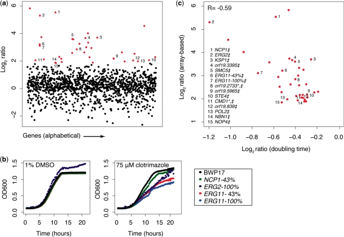 Figure 4.