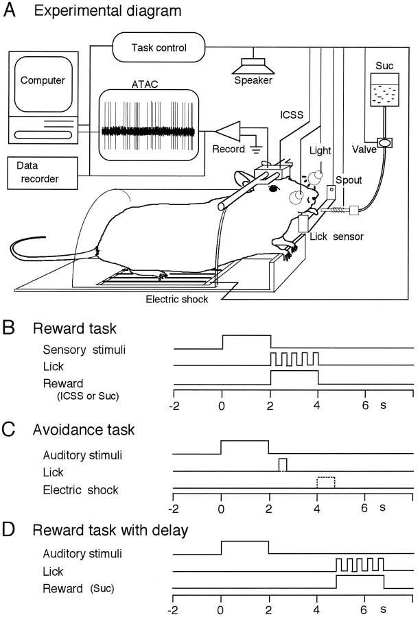 Fig. 1.