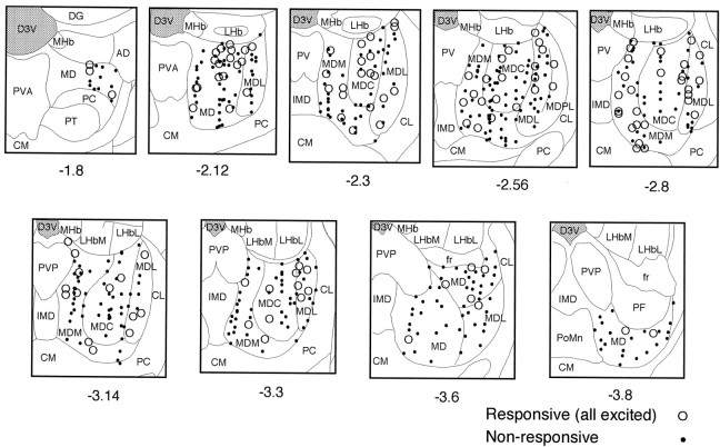 Fig. 13.