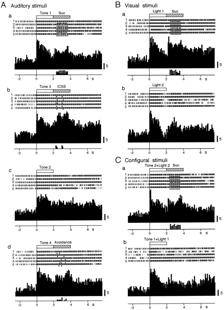 Fig. 8.