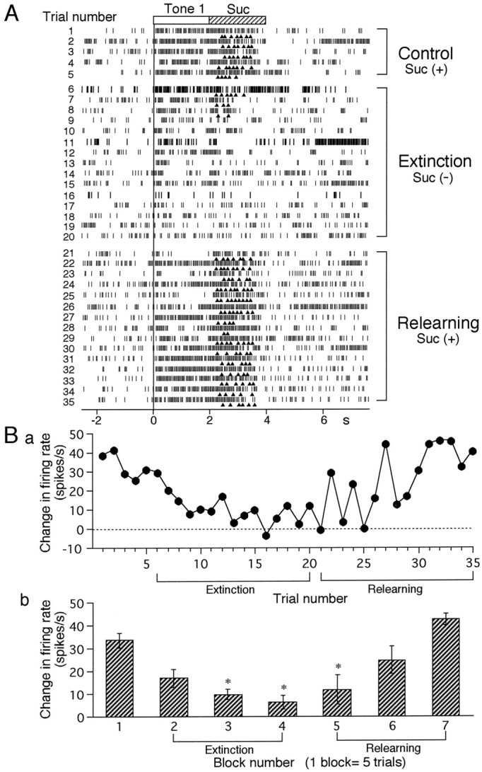 Fig. 9.