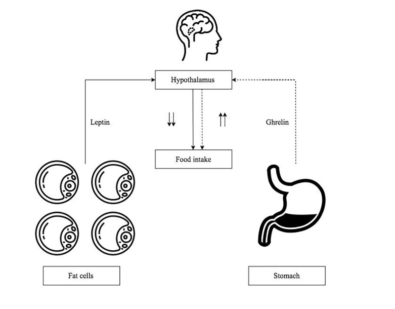 Figure 4.