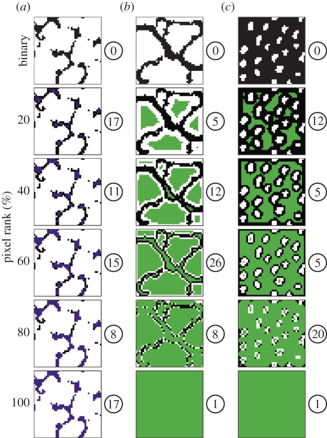 Figure 4.