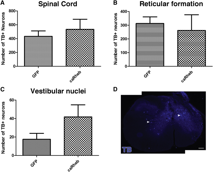 Figure 2