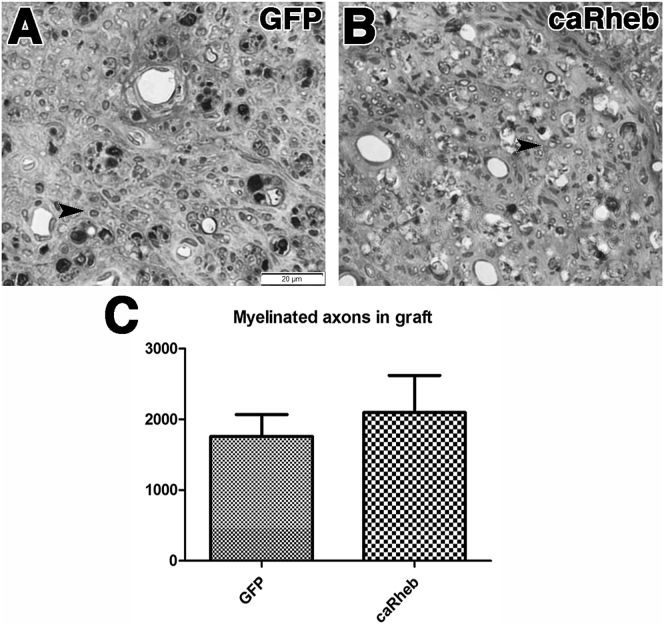 Figure 3