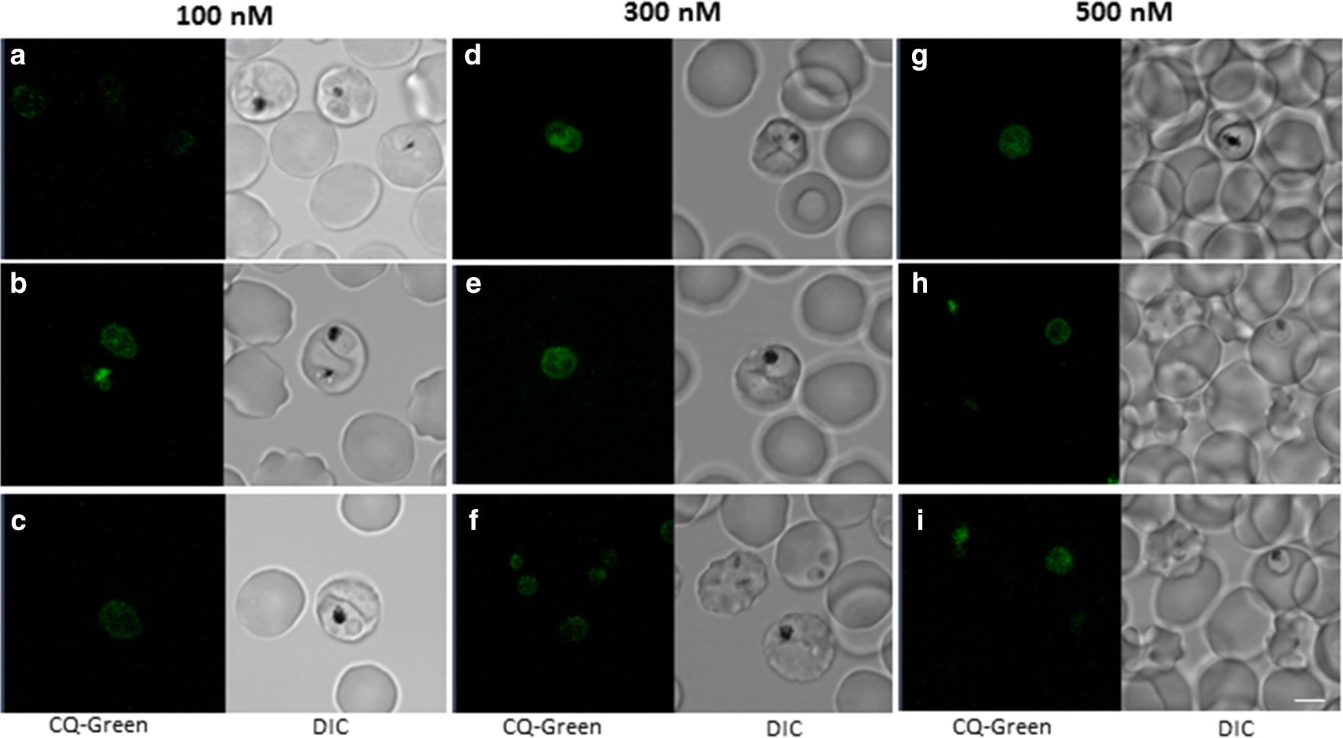 Fig. 3