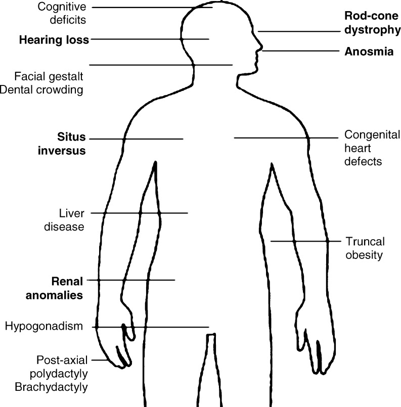 Fig. 2