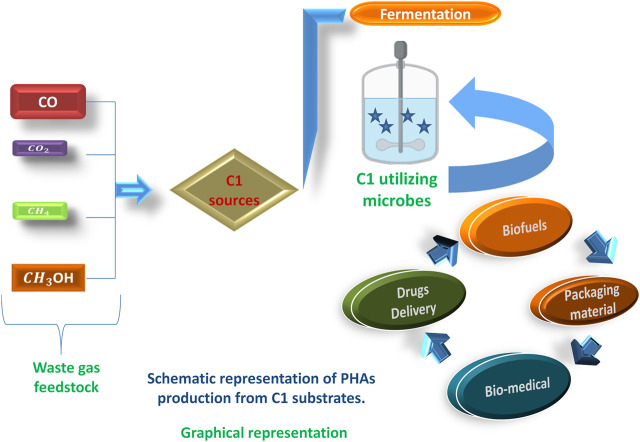 graphic file with name FBIOE_fbioe-2022-907500_wc_abs.jpg