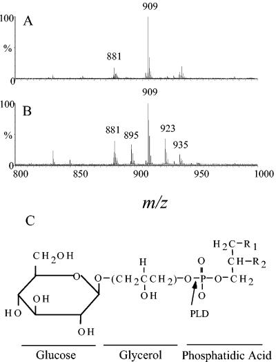 FIG. 4.