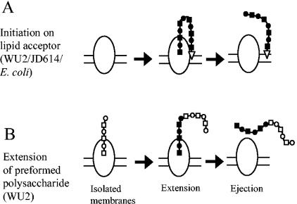 FIG. 9.