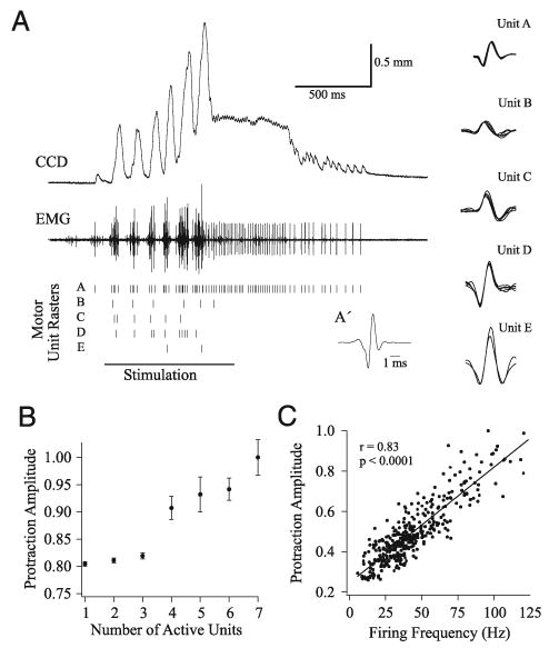 FIG. 4