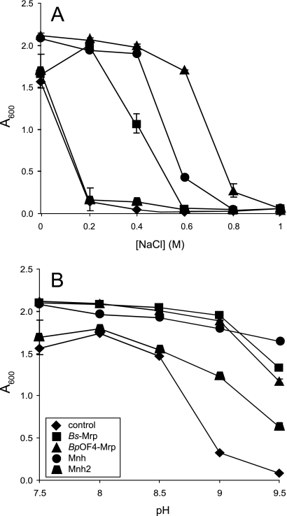 FIG. 1.