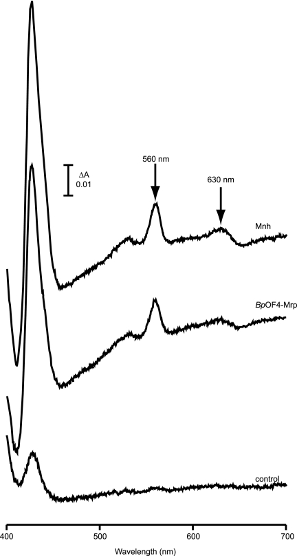 FIG. 6.