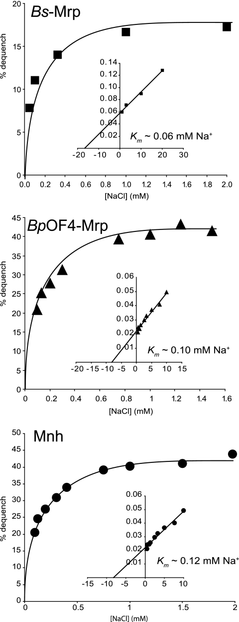 FIG. 2.