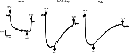 FIG. 4.