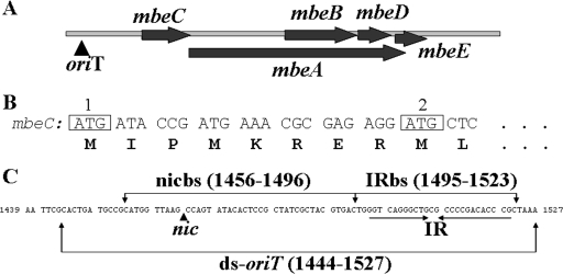 FIG. 1.