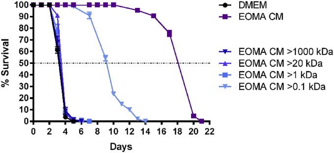 Fig. 4