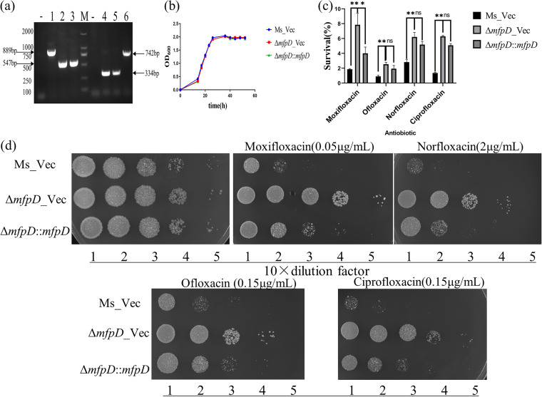 FIG 2