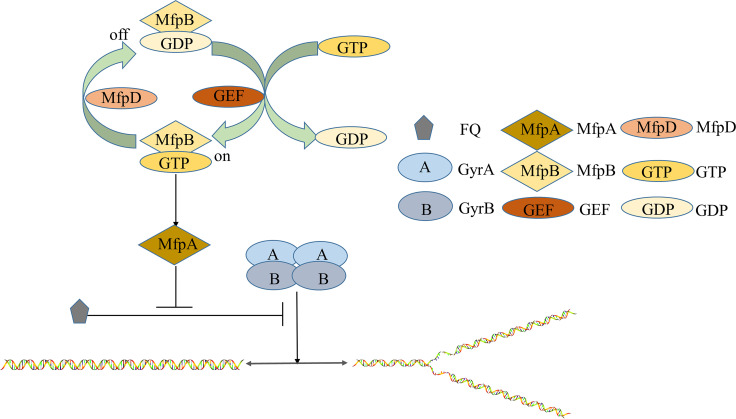 FIG 8