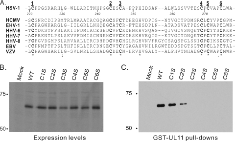 FIG. 6.