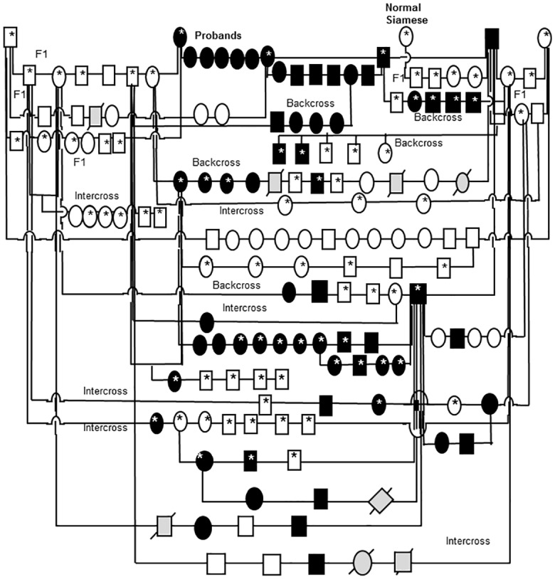 Fig 9