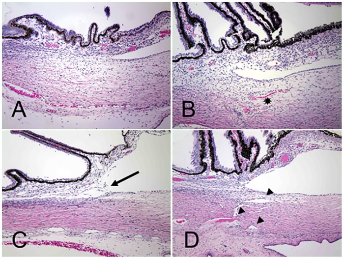 Fig 5