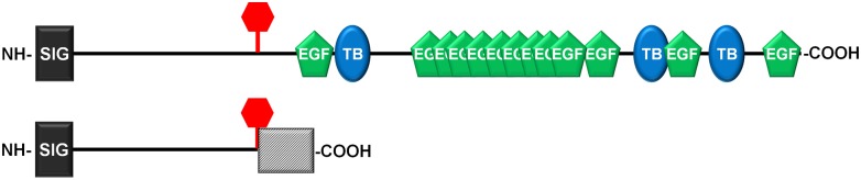 Fig 11