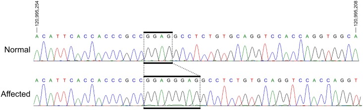 Fig 10