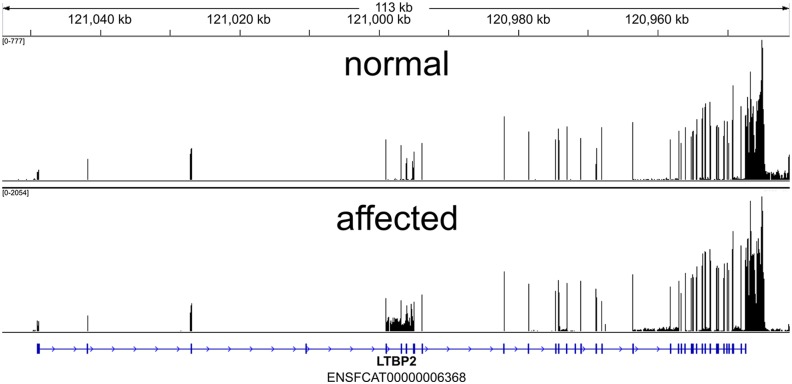 Fig 12