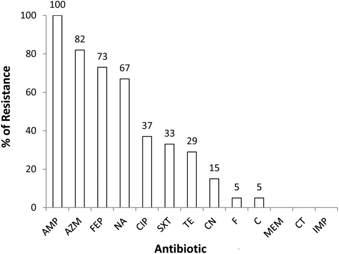 FIGURE 1