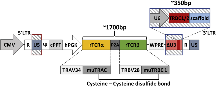 Figure 1