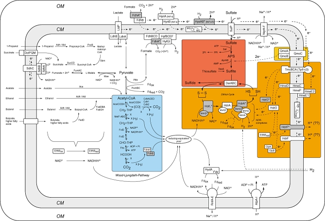 Fig. 1