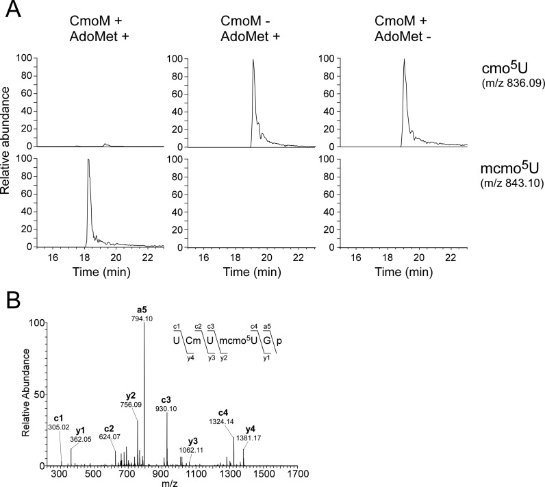 Figure 5.