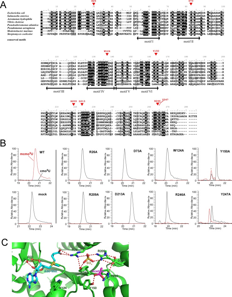 Figure 6.