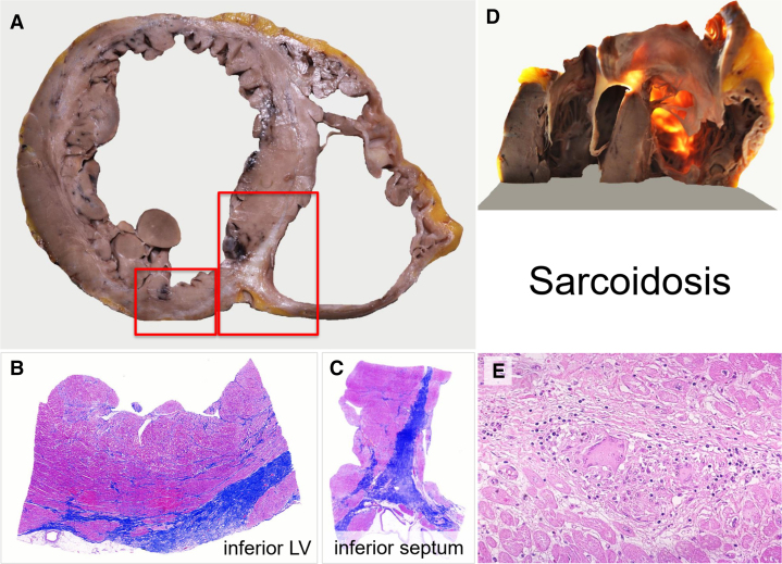 Figure 5