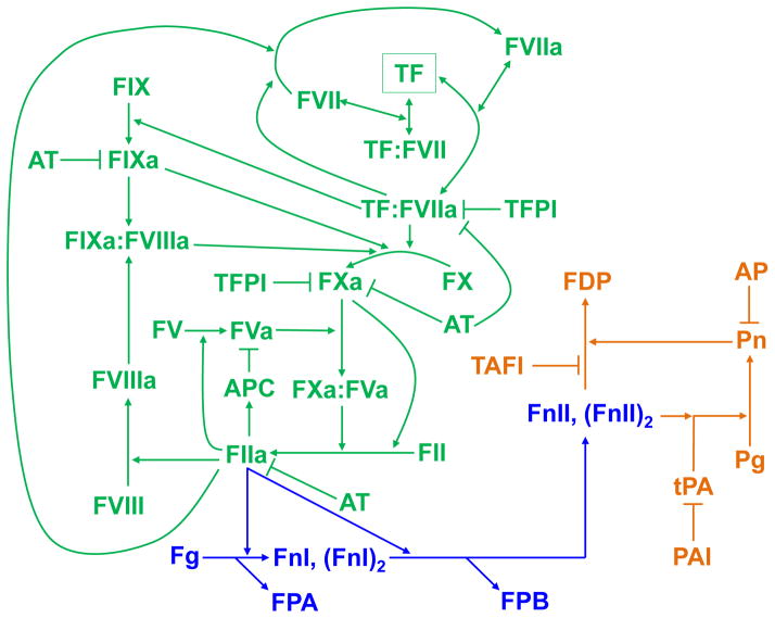 Fig. 1