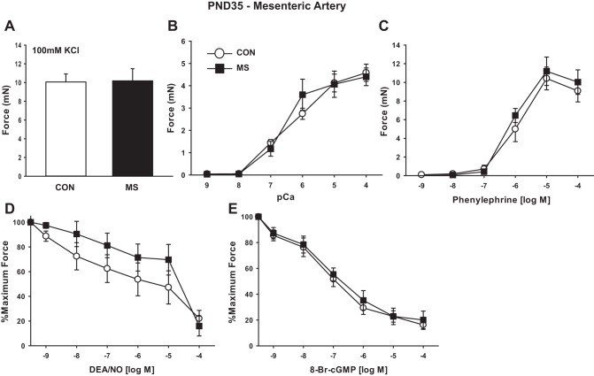 Fig. 7.