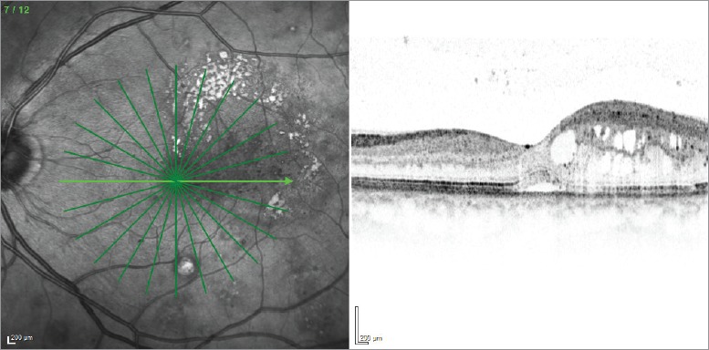 Figure 1: