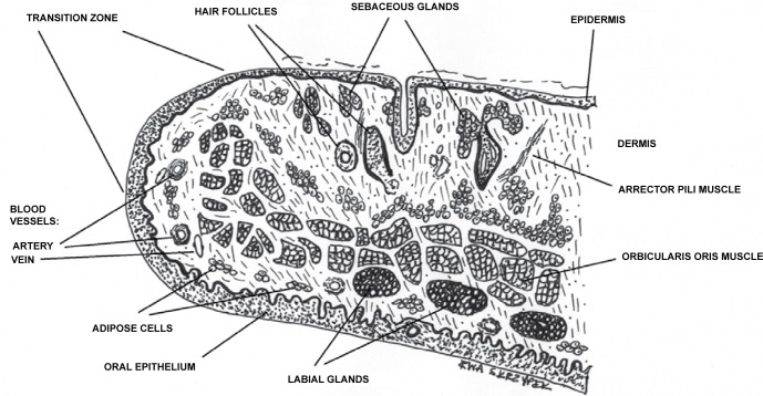 Fig. 5.