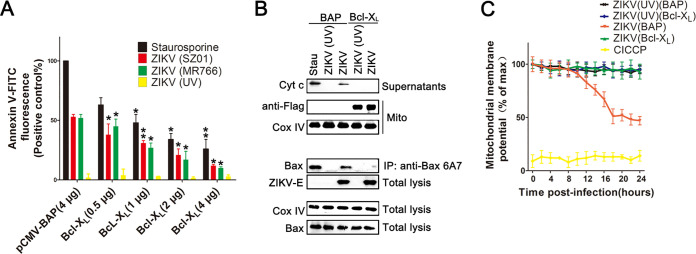 FIG 7