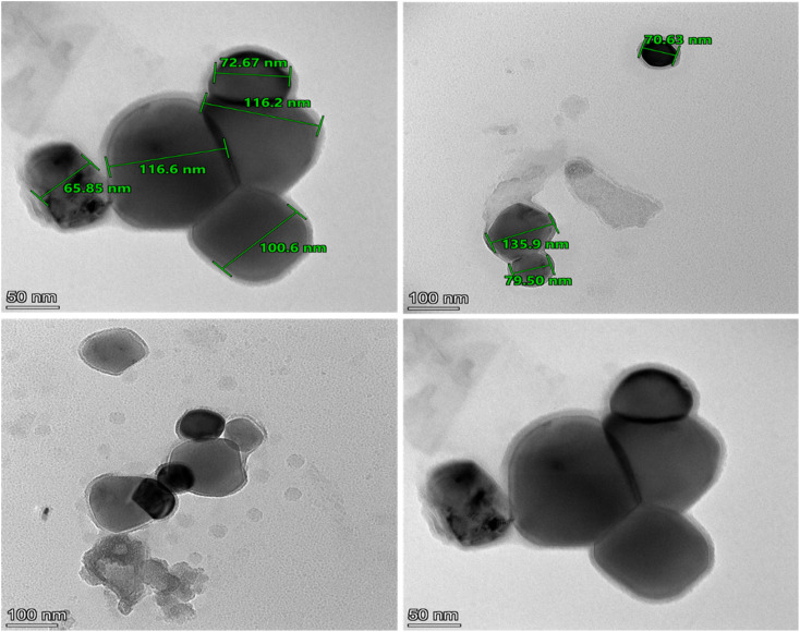 Fig. 4